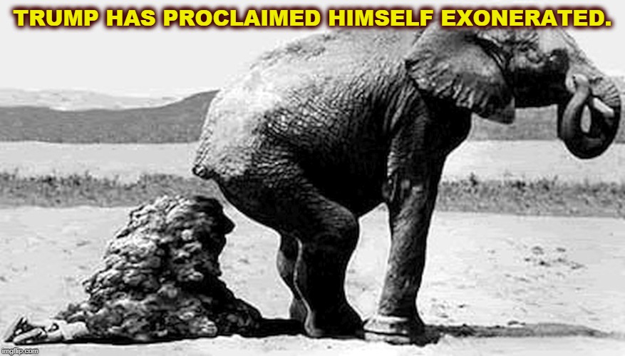 TRUMP HAS PROCLAIMED HIMSELF EXONERATED. | image tagged in trump,exonerated,republican,gop | made w/ Imgflip meme maker