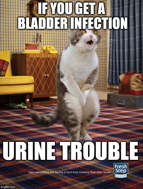 Gotta Go Cat Meme | IF YOU GET A BLADDER INFECTION; URINE TROUBLE | image tagged in memes,gotta go cat,urine,cats | made w/ Imgflip meme maker