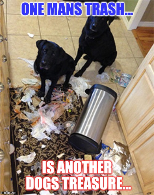 Dogs Dig In Trash | ONE MANS TRASH... IS ANOTHER DOGS TREASURE... | image tagged in dogs dig in trash,dogs,one mans trash | made w/ Imgflip meme maker