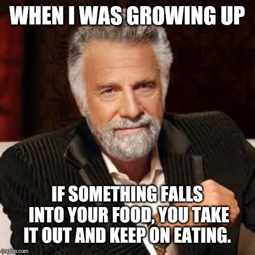 Dos Equis Guy Awesome | WHEN I WAS GROWING UP; IF SOMETHING FALLS INTO YOUR FOOD, YOU TAKE IT OUT AND KEEP ON EATING. | image tagged in dos equis guy awesome | made w/ Imgflip meme maker
