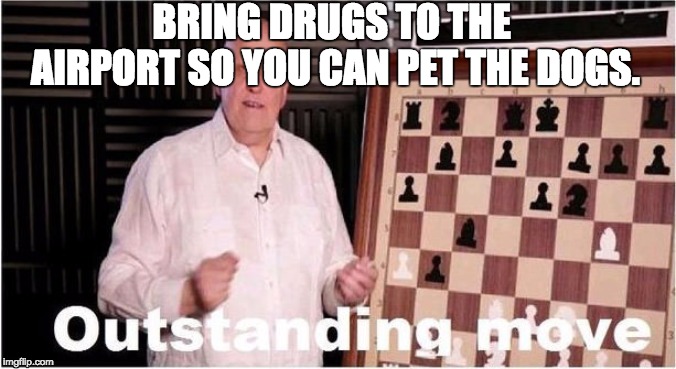 Big Brain | BRING DRUGS TO THE AIRPORT SO YOU CAN PET THE DOGS. | image tagged in outstanding move | made w/ Imgflip meme maker