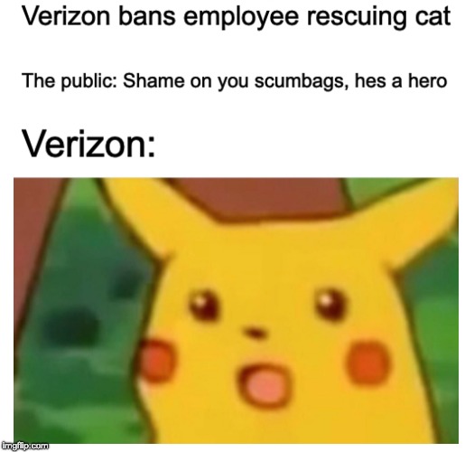 image tagged in verizon,cats,animal rescue | made w/ Imgflip meme maker