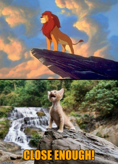 Pride rock | CLOSE ENOUGH! | image tagged in funny lion king,funny cat,close enough | made w/ Imgflip meme maker