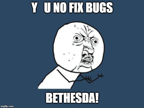 Why you no | Y   U NO FIX BUGS BETHESDA! | image tagged in why you no | made w/ Imgflip meme maker