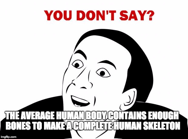 Super Smart | THE AVERAGE HUMAN BODY CONTAINS ENOUGH BONES TO MAKE A COMPLETE HUMAN SKELETON | image tagged in memes,you don't say | made w/ Imgflip meme maker