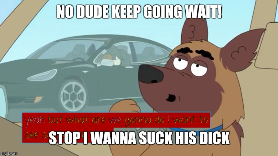 NO DUDE KEEP GOING WAIT! STOP I WANNA SUCK HIS DICK | image tagged in tesla driver sucking his dick | made w/ Imgflip meme maker