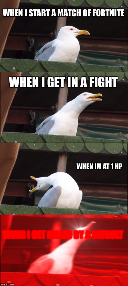 Inhaling Seagull Meme | WHEN I START A MATCH OF FORTNITE; WHEN I GET IN A FIGHT; WHEN IM AT 1 HP; WHEN I GET KILLED BY A DEFAULT | image tagged in memes,inhaling seagull | made w/ Imgflip meme maker
