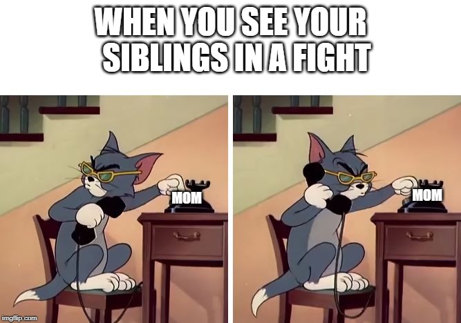 tom and jerry snitch | WHEN YOU SEE YOUR  SIBLINGS IN A FIGHT; MOM; MOM | image tagged in tom and jerry snitch | made w/ Imgflip meme maker
