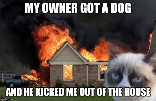 Burn Kitty | MY OWNER GOT A DOG; AND HE KICKED ME OUT OF THE HOUSE | image tagged in memes,burn kitty,grumpy cat | made w/ Imgflip meme maker