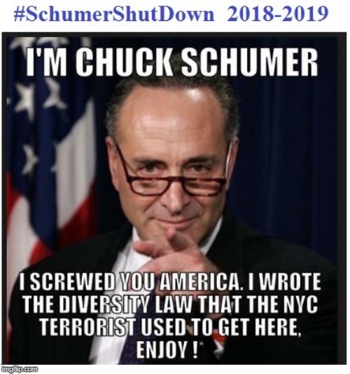 chuck schumer SchumerShutDown | image tagged in government corruption | made w/ Imgflip meme maker