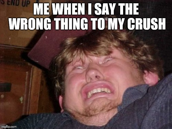 WTF Meme | ME WHEN I SAY THE WRONG THING TO MY CRUSH | image tagged in memes,wtf | made w/ Imgflip meme maker