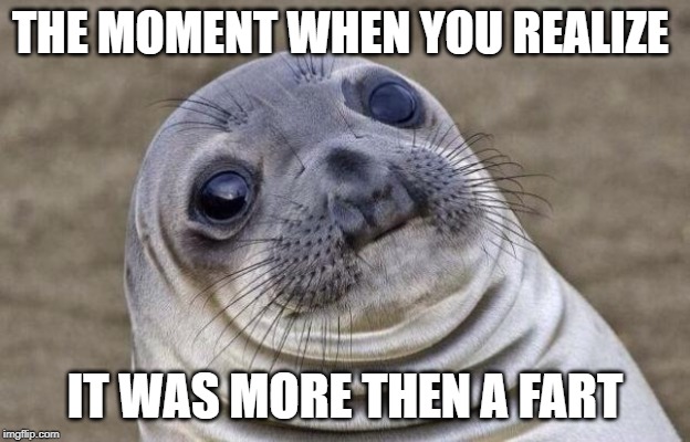 Awkward Moment Sealion Meme | THE MOMENT WHEN YOU REALIZE; IT WAS MORE THEN A FART | image tagged in memes,awkward moment sealion | made w/ Imgflip meme maker