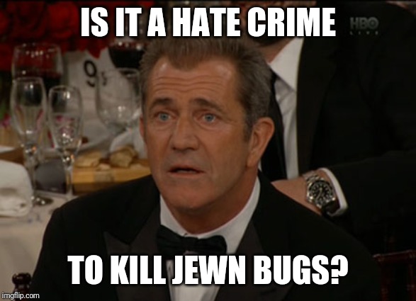 Confused Mel Gibson Meme | IS IT A HATE CRIME; TO KILL JEWN BUGS? | image tagged in memes,confused mel gibson | made w/ Imgflip meme maker