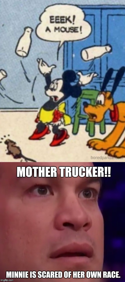 Disney Logic | MOTHER TRUCKER!! MINNIE IS SCARED OF HER OWN RACE. | image tagged in funny,cartoon logic,fun | made w/ Imgflip meme maker