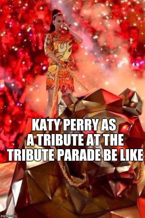 Katy Perry Hunger Games | KATY PERRY AS A TRIBUTE AT THE TRIBUTE PARADE BE LIKE | image tagged in katy perry hunger games | made w/ Imgflip meme maker