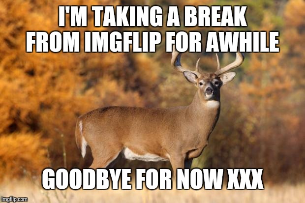 Not that anyone should care but :-) | I'M TAKING A BREAK FROM IMGFLIP FOR AWHILE; GOODBYE FOR NOW XXX | image tagged in whitetail deer,taking a break,see you soon,back to reality,meme burnout,thanks to everyone | made w/ Imgflip meme maker