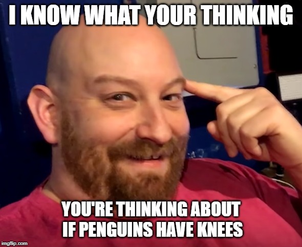 Creepy Nate Guy | I KNOW WHAT YOUR THINKING; YOU'RE THINKING ABOUT IF PENGUINS HAVE KNEES | image tagged in creepy nate guy,that nate guy on youtube | made w/ Imgflip meme maker