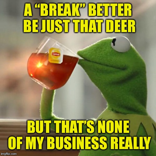 But That's None Of My Business Meme | A “BREAK” BETTER BE JUST THAT DEER BUT THAT’S NONE OF MY BUSINESS REALLY | image tagged in memes,but thats none of my business,kermit the frog | made w/ Imgflip meme maker