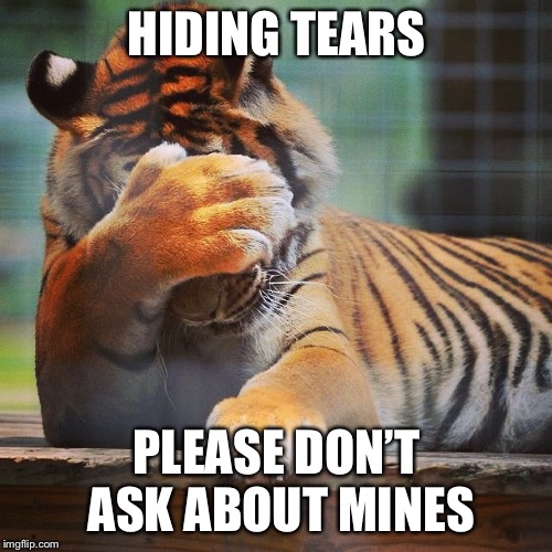 Facepalm Tiger | HIDING TEARS PLEASE DON’T ASK ABOUT MINES | image tagged in facepalm tiger | made w/ Imgflip meme maker