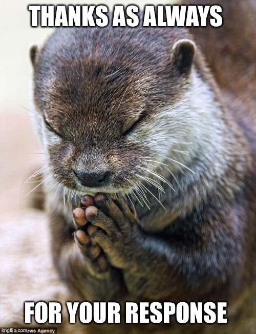 Thank you Lord Otter | THANKS AS ALWAYS FOR YOUR RESPONSE | image tagged in thank you lord otter | made w/ Imgflip meme maker