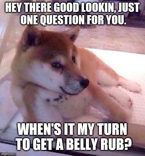 Flirting Doge | HEY THERE GOOD LOOKIN,
JUST ONE QUESTION FOR YOU. WHEN'S IT MY TURN TO GET A BELLY RUB? | image tagged in flirting doge | made w/ Imgflip meme maker