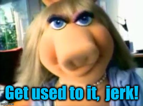 Mad Miss Piggy | Get used to it,  jerk! | image tagged in mad miss piggy | made w/ Imgflip meme maker