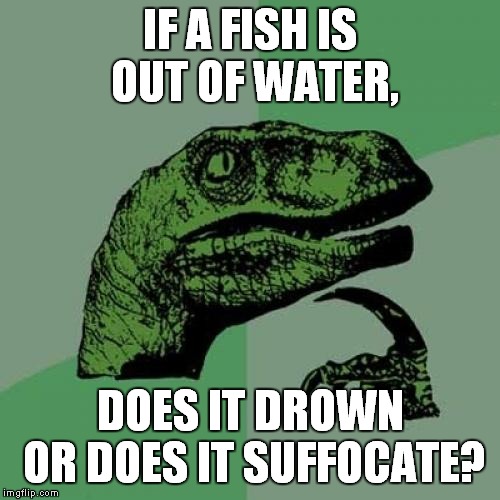 For Real, Tho. | IF A FISH IS OUT OF WATER, DOES IT DROWN OR DOES IT SUFFOCATE? | image tagged in memes,philosoraptor,fish,drowning | made w/ Imgflip meme maker