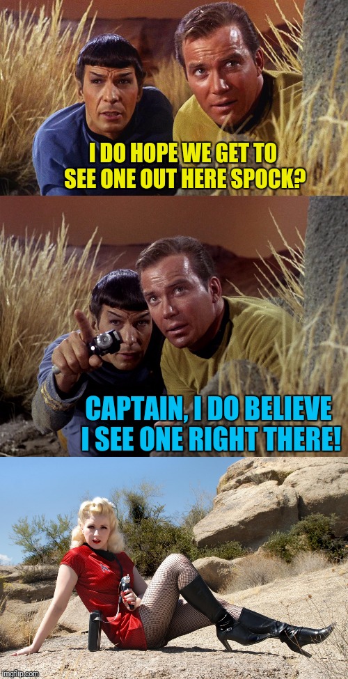 On The Hunt! | I DO HOPE WE GET TO SEE ONE OUT HERE SPOCK? CAPTAIN, I DO BELIEVE I SEE ONE RIGHT THERE! | image tagged in star trek,captain kirk,kirk,spock,cosplay,mr spock | made w/ Imgflip meme maker