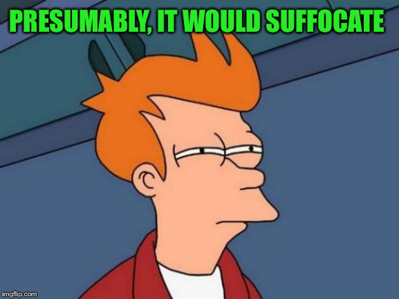 PRESUMABLY, IT WOULD SUFFOCATE | image tagged in memes,futurama fry | made w/ Imgflip meme maker