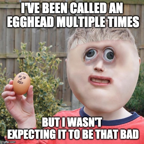 Egghead | I'VE BEEN CALLED AN EGGHEAD MULTIPLE TIMES; BUT I WASN'T EXPECTING IT TO BE THAT BAD | image tagged in egg | made w/ Imgflip meme maker