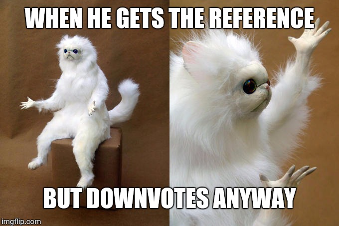 Persian Cat Room Guardian Meme | WHEN HE GETS THE REFERENCE BUT DOWNVOTES ANYWAY | image tagged in memes,persian cat room guardian | made w/ Imgflip meme maker