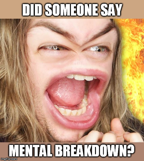 DID SOMEONE SAY MENTAL BREAKDOWN? | made w/ Imgflip meme maker