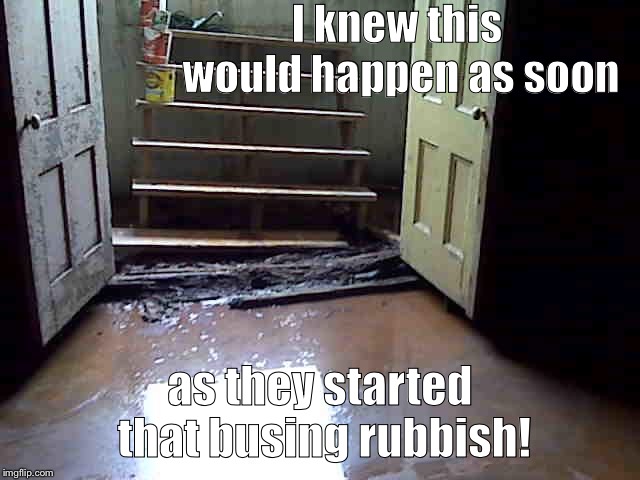 This is why everyone on planet Earth hates flooded basements... | I knew this would happen as soon; as they started that busing rubbish! | image tagged in waste of money | made w/ Imgflip meme maker