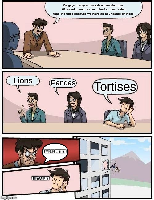 Boardroom Meeting Suggestion Meme |  Ok guys, today is natural consevation day. We need to vote for an animal to save, other than the turtle because we have an abundancy of those. Lions; Pandas; Tortises; I SAID NO TURTLES! THEY AREN'T | image tagged in memes,boardroom meeting suggestion | made w/ Imgflip meme maker