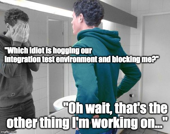 mirror | "Which idiot is hogging our integration test environment and blocking me?"; "0h wait, that's the other thing I'm working on..." | image tagged in mirror | made w/ Imgflip meme maker