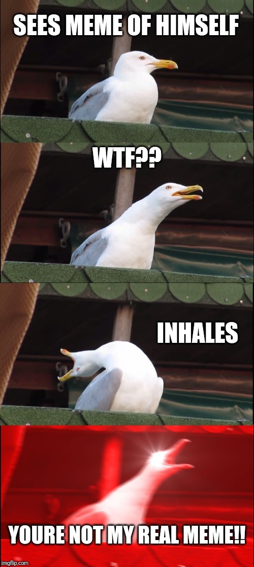 Inhaling Seagull | SEES MEME OF HIMSELF; WTF?? INHALES; YOURE NOT MY REAL MEME!! | image tagged in memes,inhaling seagull | made w/ Imgflip meme maker