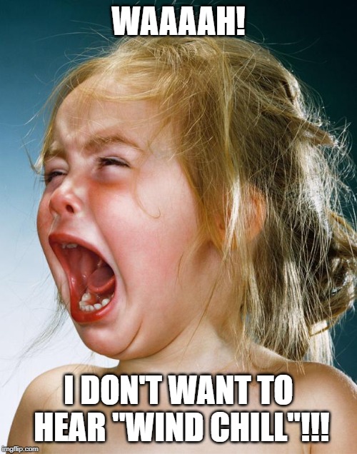 Cry Baby | WAAAAH! I DON'T WANT TO HEAR "WIND CHILL"!!! | image tagged in cry baby | made w/ Imgflip meme maker
