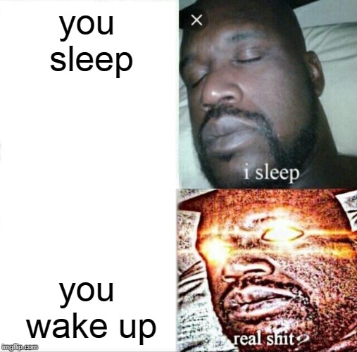 Sleeping Shaq Meme | you sleep; you wake up | image tagged in memes,sleeping shaq | made w/ Imgflip meme maker