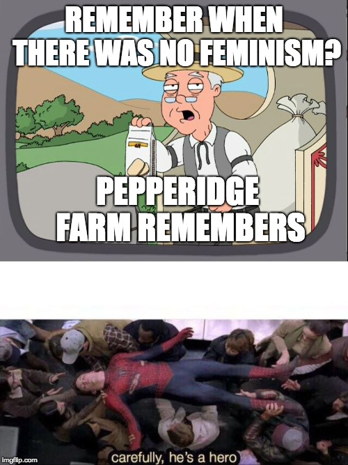 REMEMBER WHEN THERE WAS NO FEMINISM? PEPPERIDGE FARM REMEMBERS | image tagged in pepperridge farm,carefully he's a hero | made w/ Imgflip meme maker