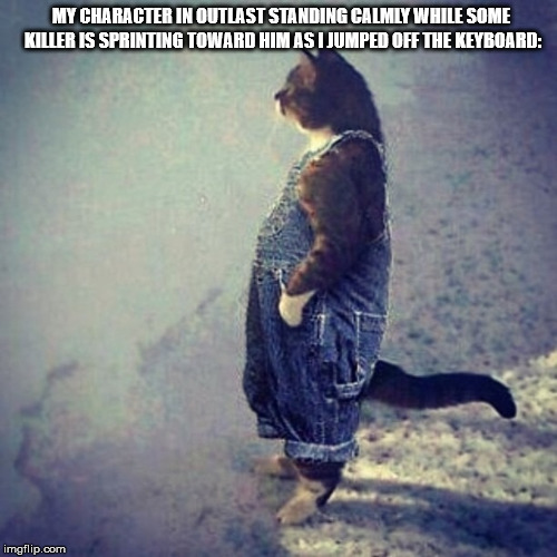 Cat Wearing Overalls | MY CHARACTER IN OUTLAST STANDING CALMLY WHILE SOME KILLER IS SPRINTING TOWARD HIM AS I JUMPED OFF THE KEYBOARD: | image tagged in cat wearing overalls | made w/ Imgflip meme maker