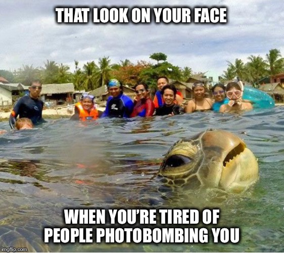 Photobomb Sunday | THAT LOOK ON YOUR FACE; WHEN YOU’RE TIRED OF PEOPLE PHOTOBOMBING YOU | image tagged in photobomb,funny,that look | made w/ Imgflip meme maker