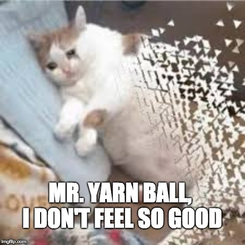 Mr Stark I don't feel so good... | MR. YARN BALL, I DON'T FEEL SO GOOD | image tagged in mr stark i don't feel so good,cute cat | made w/ Imgflip meme maker