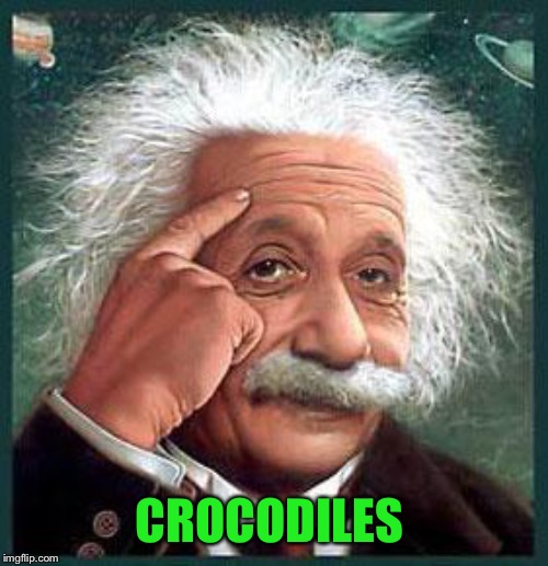 einstein | CROCODILES | image tagged in einstein | made w/ Imgflip meme maker