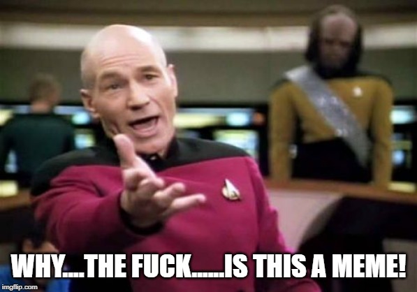 Picard Wtf Meme | WHY....THE F**K......IS THIS A MEME! | image tagged in memes,picard wtf | made w/ Imgflip meme maker