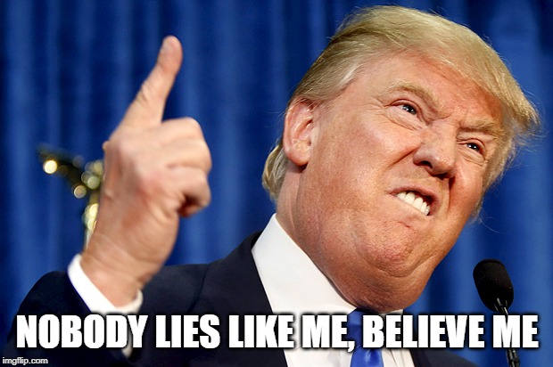 Donald Trump | NOBODY LIES LIKE ME, BELIEVE ME | image tagged in donald trump | made w/ Imgflip meme maker