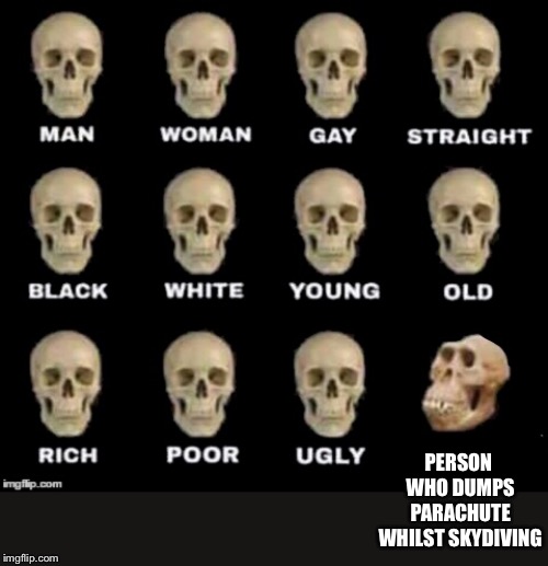 idiot skull | PERSON WHO DUMPS PARACHUTE WHILST SKYDIVING | image tagged in idiot skull | made w/ Imgflip meme maker