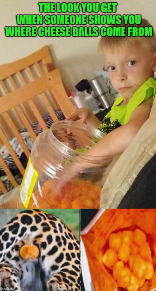 Do you know where cheese balls come from? | THE LOOK YOU GET WHEN SOMEONE SHOWS YOU WHERE CHEESE BALLS COME FROM | image tagged in cheese,cheetos,funny,dads,lol so funny | made w/ Imgflip meme maker