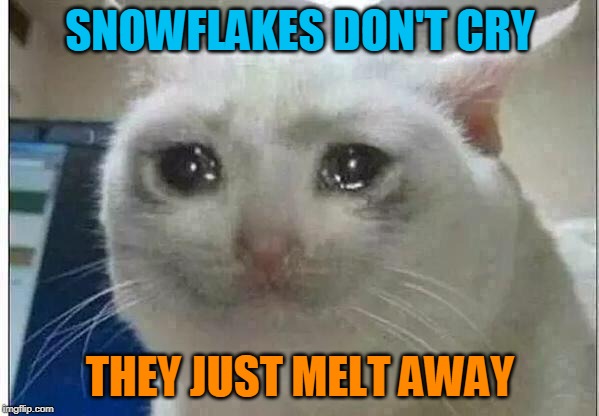 crying cat | SNOWFLAKES DON'T CRY; THEY JUST MELT AWAY | image tagged in crying cat | made w/ Imgflip meme maker