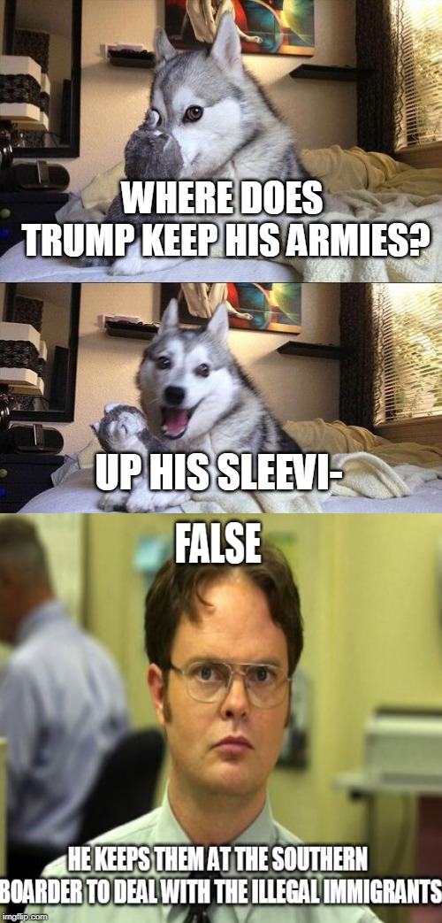 Bad Pun Dog | WHERE DOES TRUMP KEEP HIS ARMIES? UP HIS SLEEVI- | image tagged in memes,bad pun dog,trump,false | made w/ Imgflip meme maker