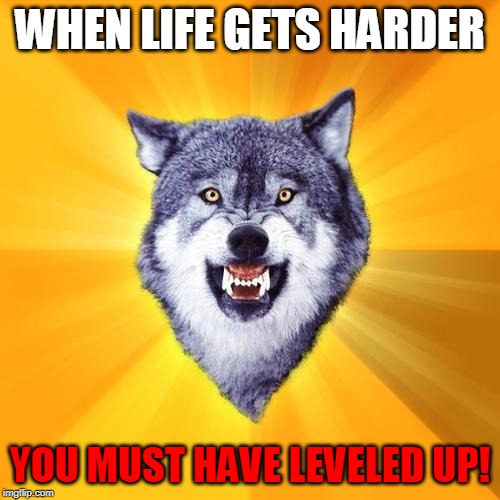 Courage Wolf Meme | WHEN LIFE GETS HARDER; YOU MUST HAVE LEVELED UP! | image tagged in memes,courage wolf | made w/ Imgflip meme maker
